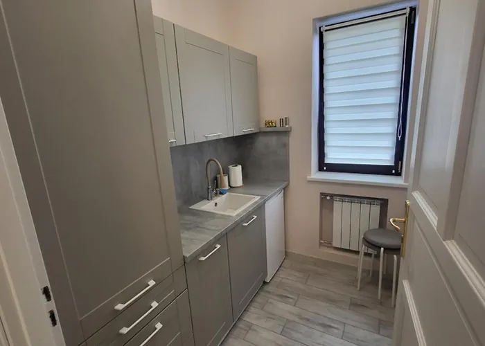 Pokój Z Aneksem Kuchennym *